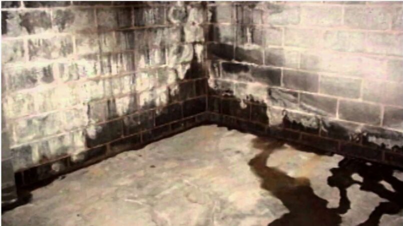 Гидроизоляция подвала и ванной: как навсегда победить сырость и грибок